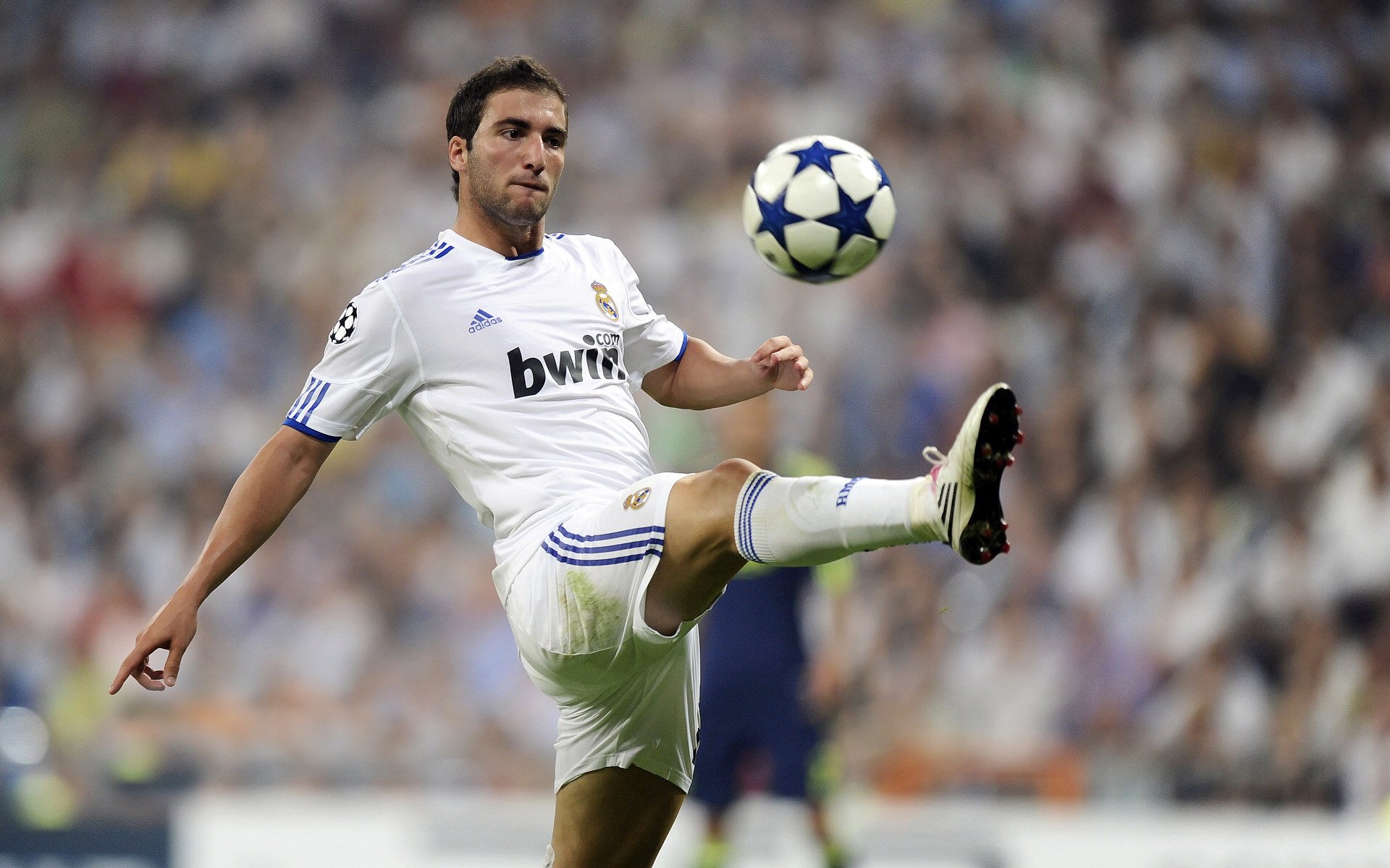 选手排位赛：谁将晋级总决赛？，排位赛冠军